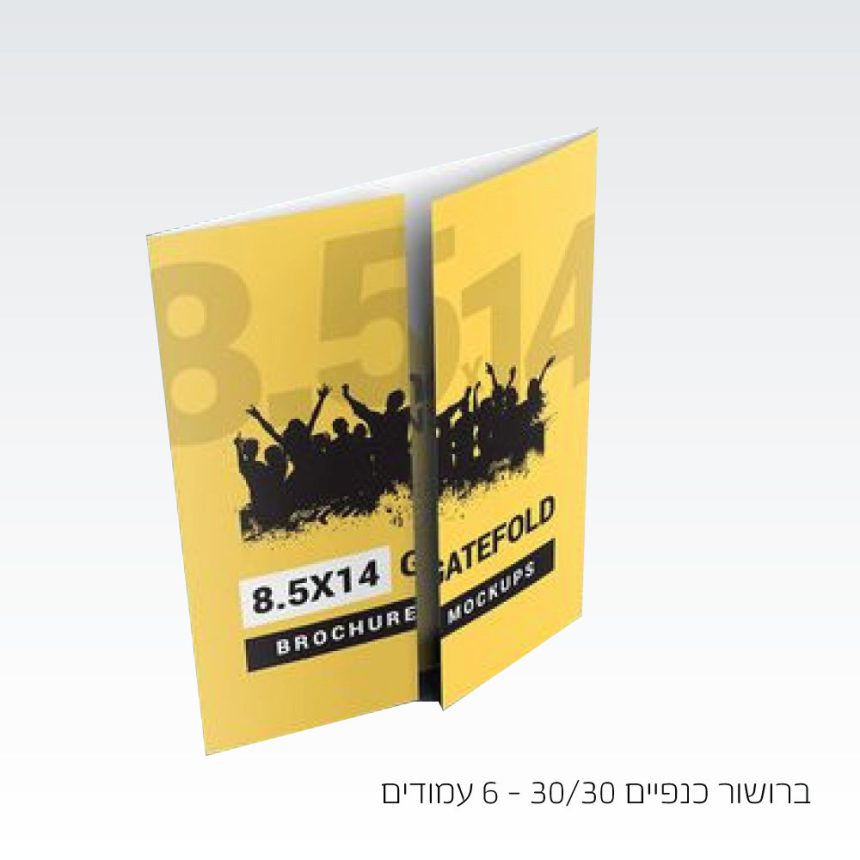 ברושור כנפיים 30/30 שבנוי מ 6 עמודים גודל פתוח 60/30 דו צדדי+2 ביגים ...